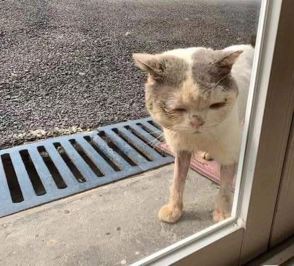 Любовь и забота. Спасибо тем, кто не оставляет в беде бр...