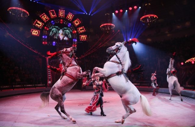 Подошли к концу гастроли в Ярославском цирке. Кто-нибу?...