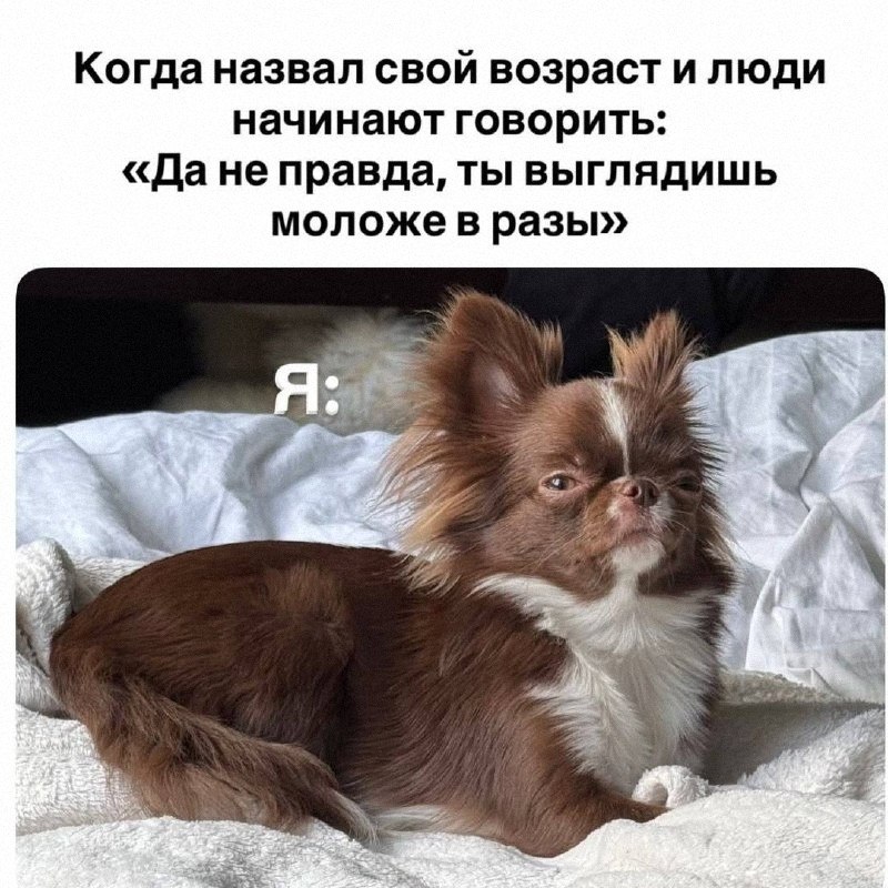Утренняя подборочка