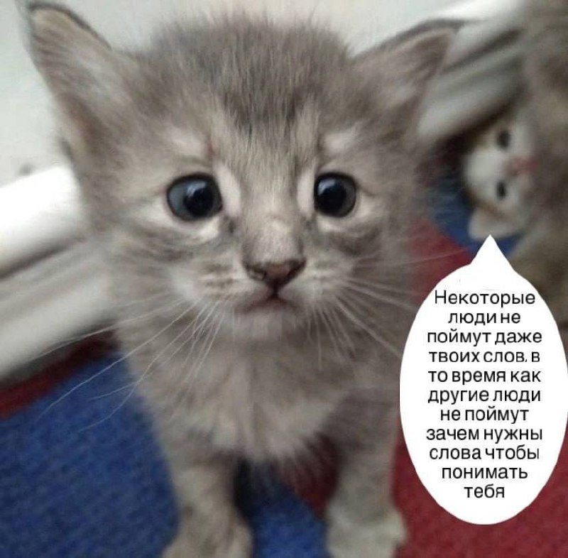 Утренняя подборочка