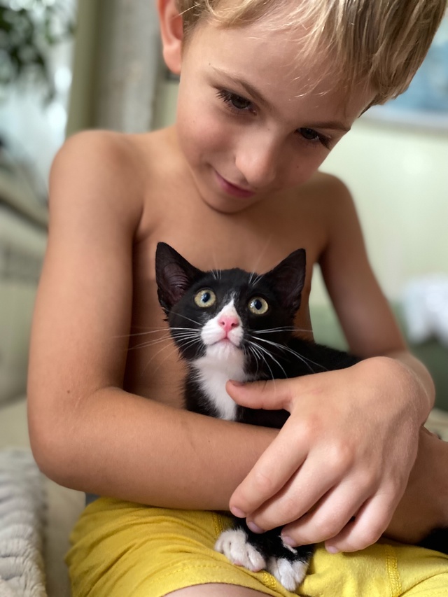 Город Омск ♥Помогите малышке обрести дом ♥
+7915 417 91 78 - ?...