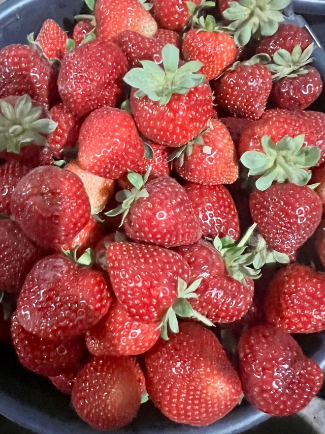 ⚠🍓⚠🍓⚠🍓⚠🍓⚠🍓 Жители г. Лангепас!!! Суббота, 26 июля...