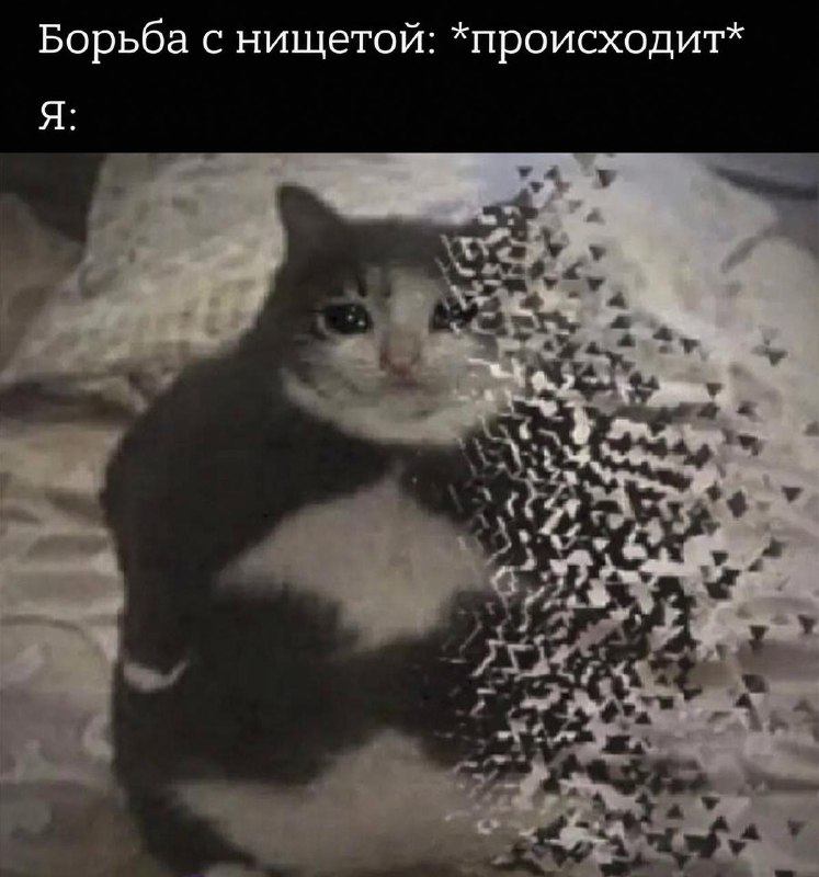 Сегодня отмечается Международный день борьбы за ликвидацию нищеты.