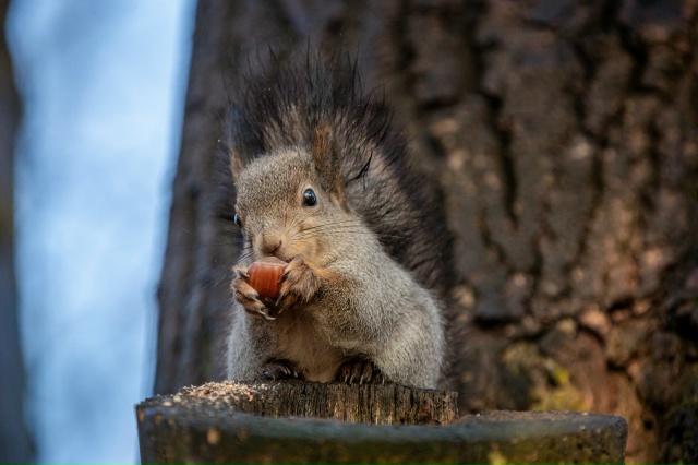 В парке ... 👀