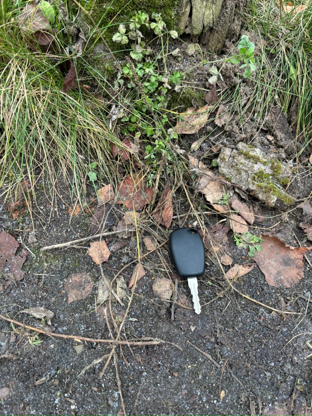Найден ключ от автомобиля . Лежит у ?️ парковки , окол?...