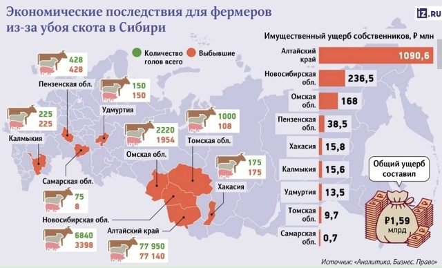 ❗️Ущерб от массовогo убоя скота в Сибири превысил 1,5 м?...