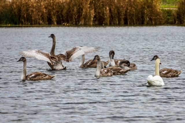 Осенняя красота пруда (с.Орда) ???