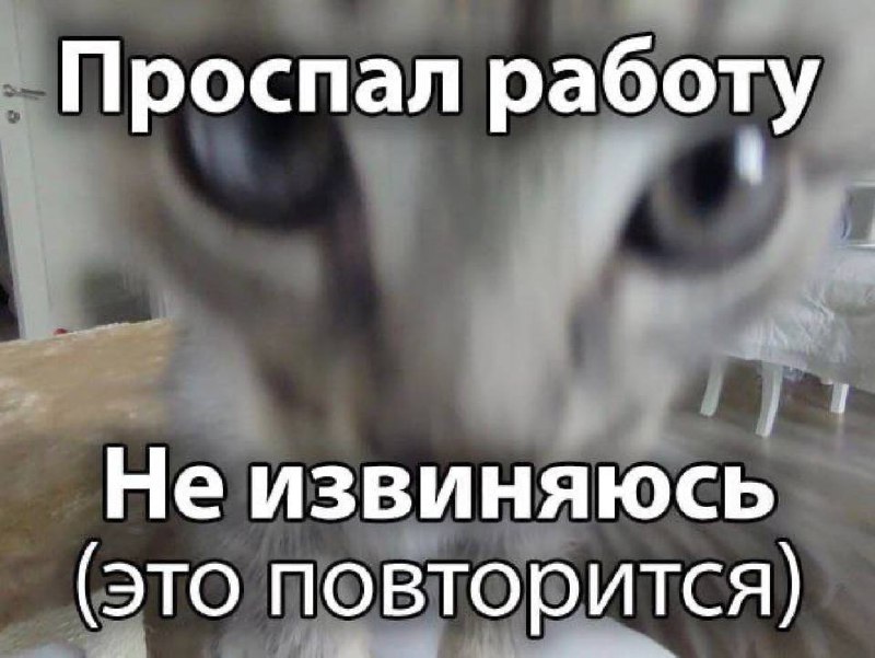 Утренняя подборочка