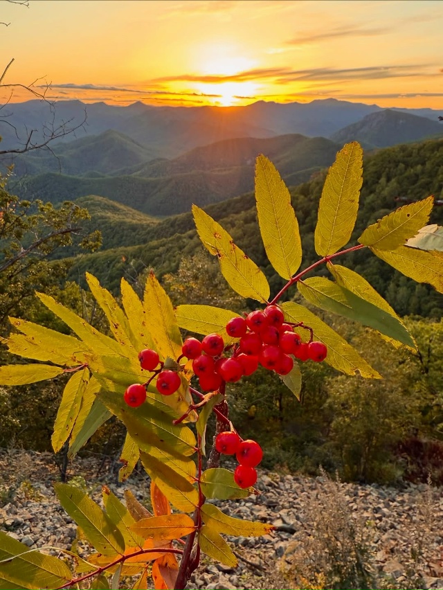 Дальнегорск, Приморье 🇷🇺