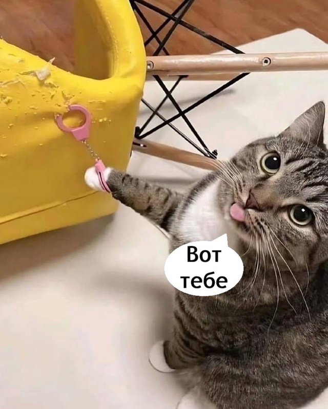 Поймали опасного преступника