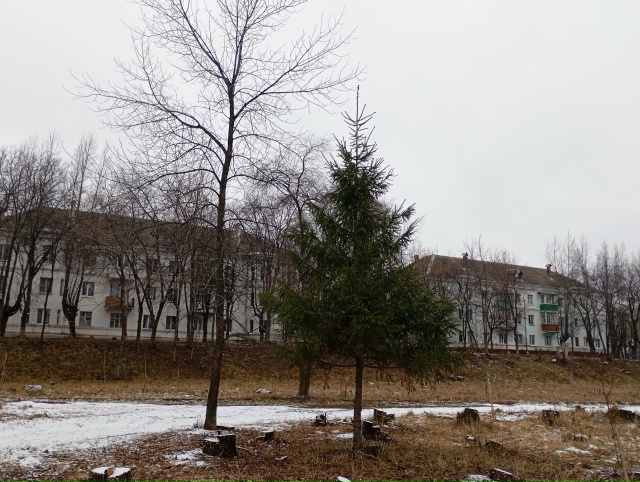 Начало декабря... (03.12.25.)