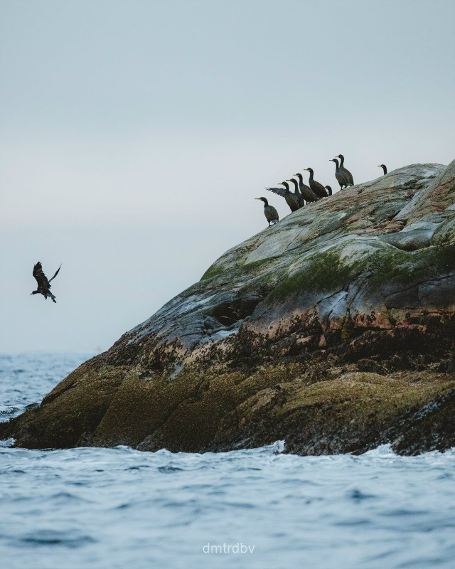 🌅Созерцательное закрытие водномоторного сезона
Фо?...