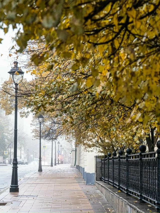 Синоптики сообщили, что в столице ожидается тёплая пог...