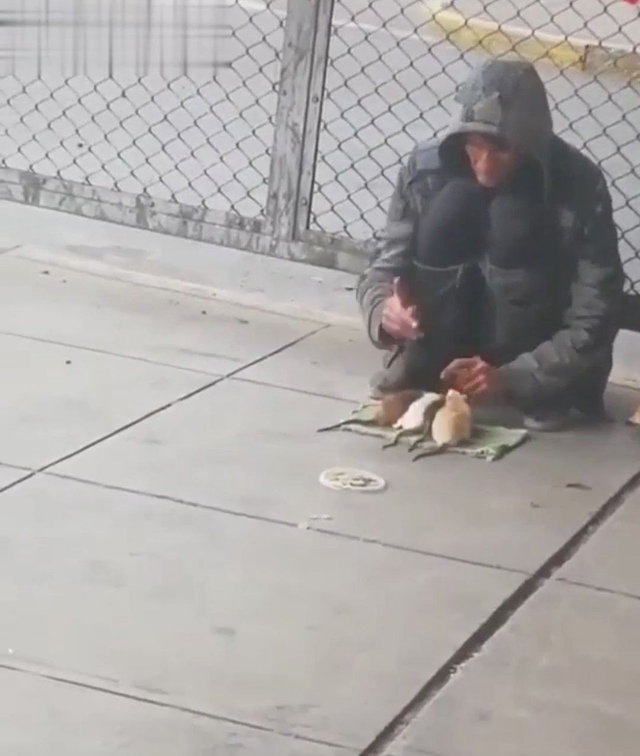 сенсей