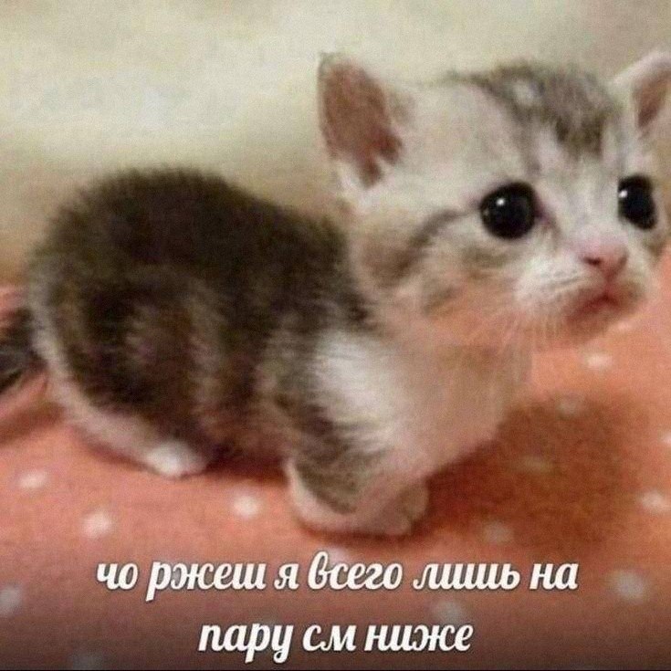 Утренняя подборочка