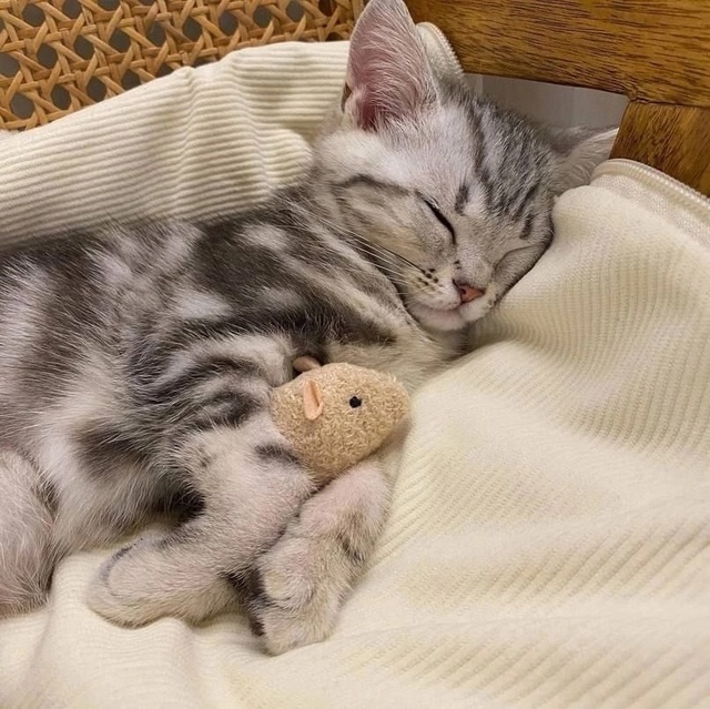 Всем, кто ложится спать — спокойного сна🛌🏻
Сегодня н...