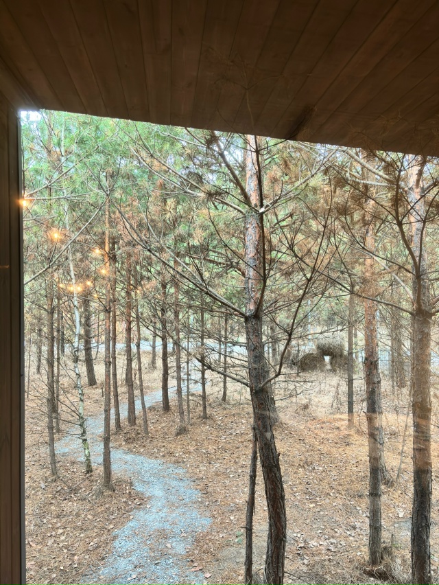 Добро пожаловать в глэмпинг В СОСНАХ 🌲
[id1083713020|В Сосна...