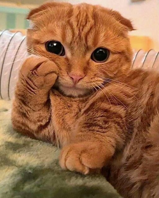 - Уже уходишь? После работы не задерживайся, сразу домо?...