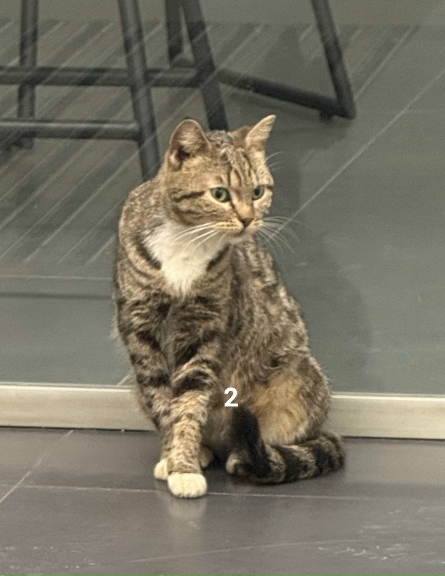 #потерялиНашлиПомогите
1 Найдена карта около Володар?...