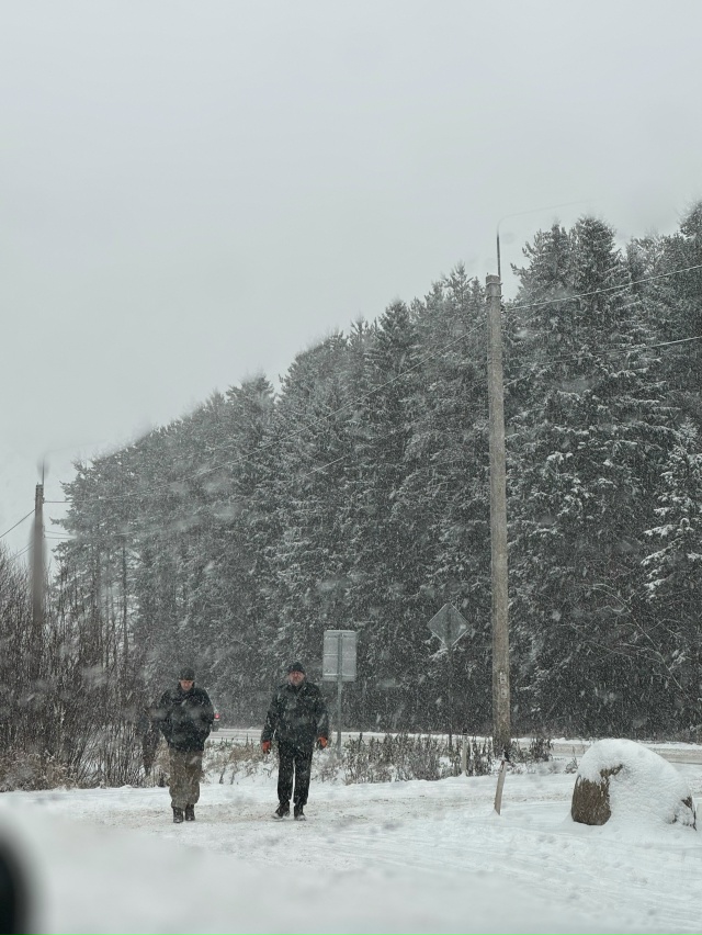 Ну и погодка сегодня 😁
#Я_тебя_видел@podslushano_velsk