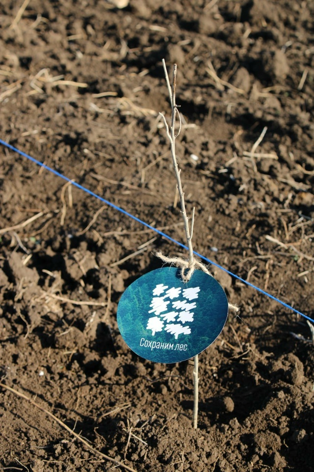 В Крыму продолжается Всероссийская акция «Сохраним ле...