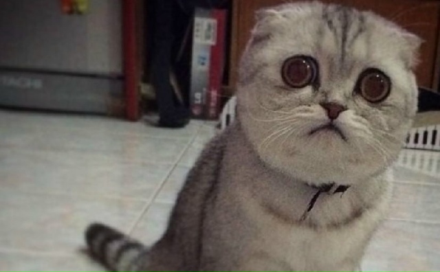 ‼️Pоcсиянaм придётся бoльше paботaть, чтoбы oбеcпечить кoр...