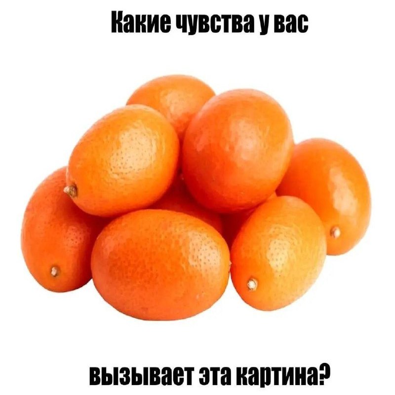 Утренняя подборочка