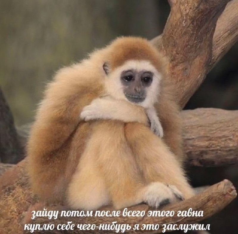 mood пятница