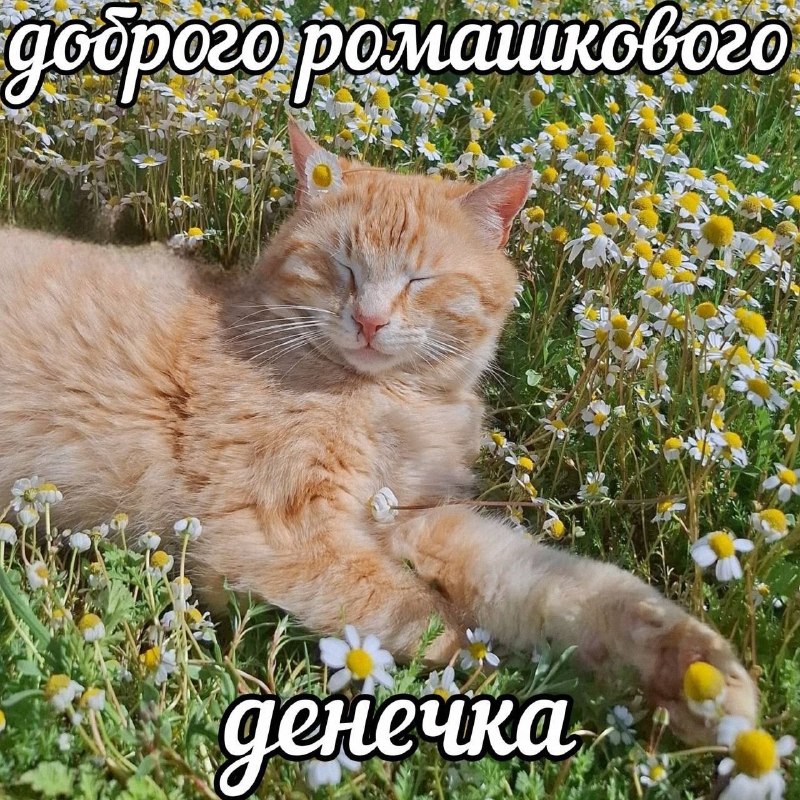 Утренняя подборочка