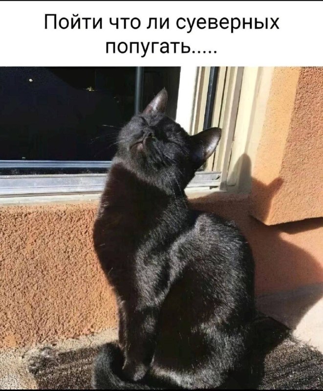 Утренняя подборочка