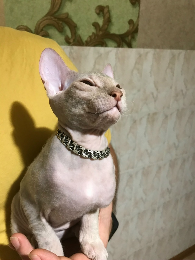 Мотя 2 года )) Холода наступили ((