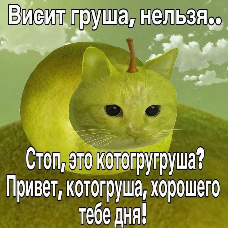 Утренняя подборочка