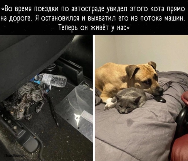 Обожаю такие истории и таких людей