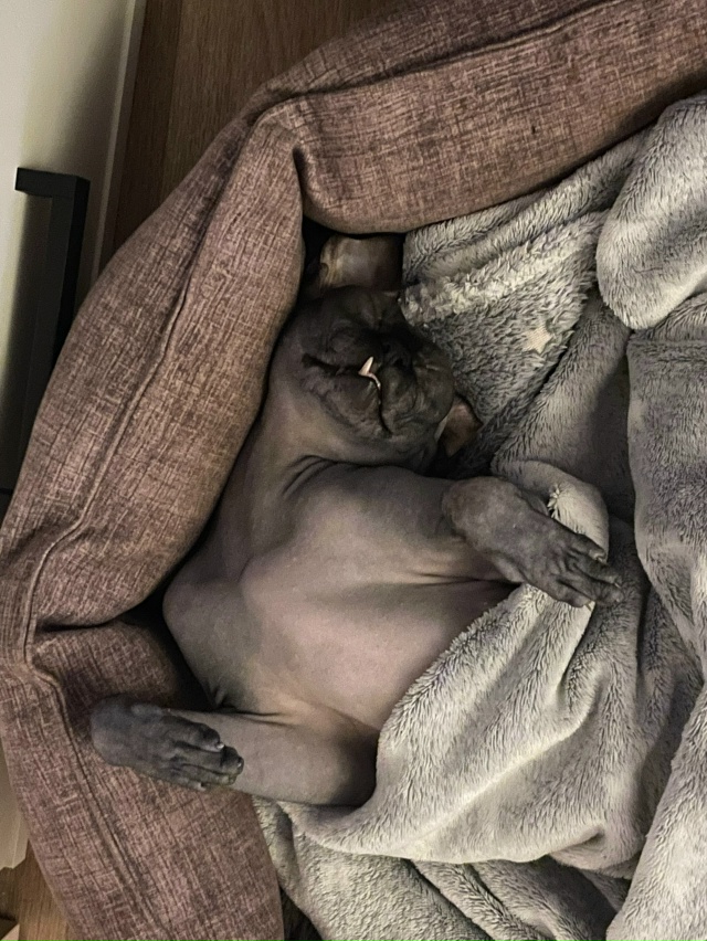 Котосын Лёня