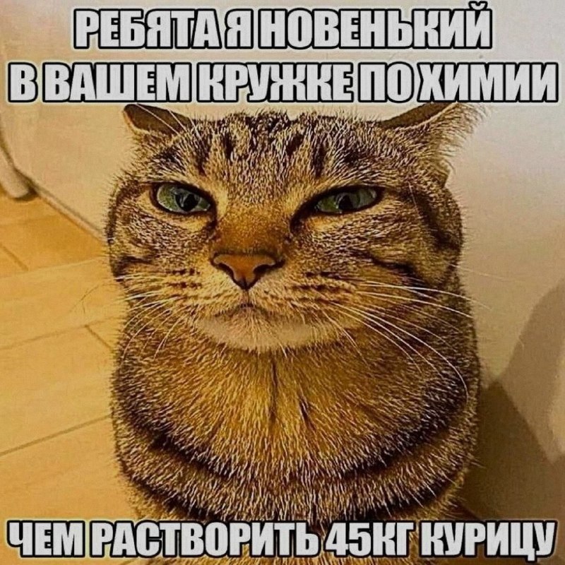 Ночная подборочка
Спать, режим