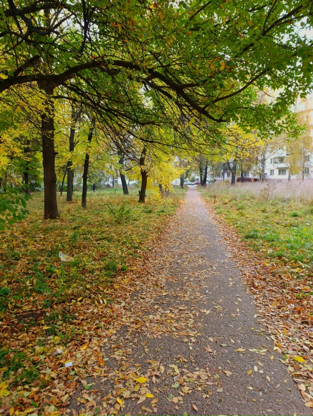 Фото: Lyubava lv