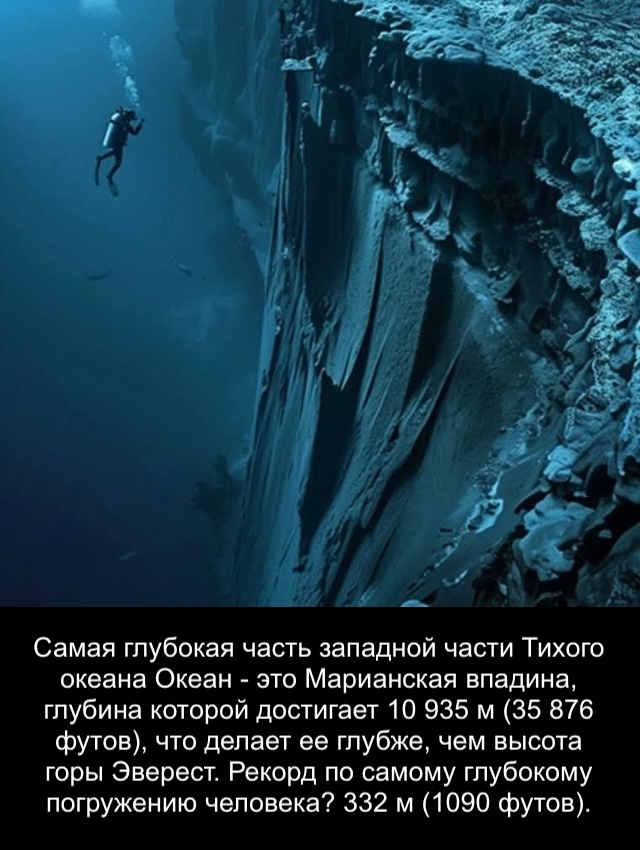 Когда вы опускаетесь на глубину 200 метров под поверхно?...