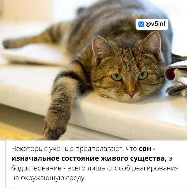 Подборка интересных и познавательных фактов.