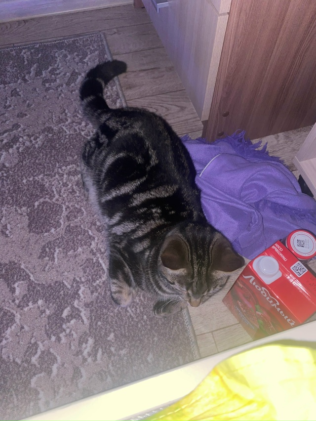 Снова Кузьма ☺️ самый любимый ❤️