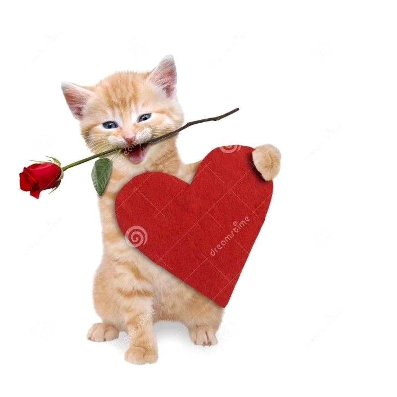 Парни сегодня типо: