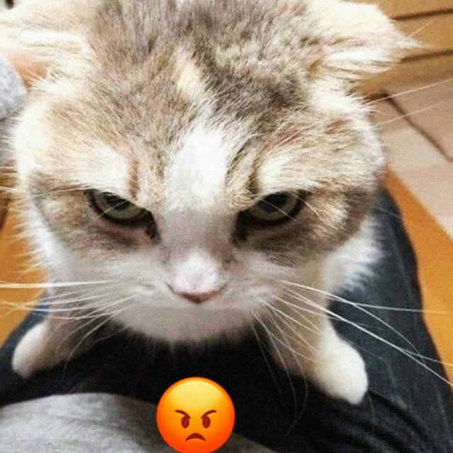 День ворчуна отмечают сегодня 🙃
Ты знаешь, кого надо...