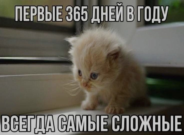 Ночная подборочка
Спать, режим