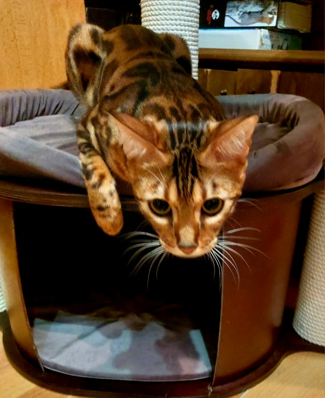 Ричард! 3 года!