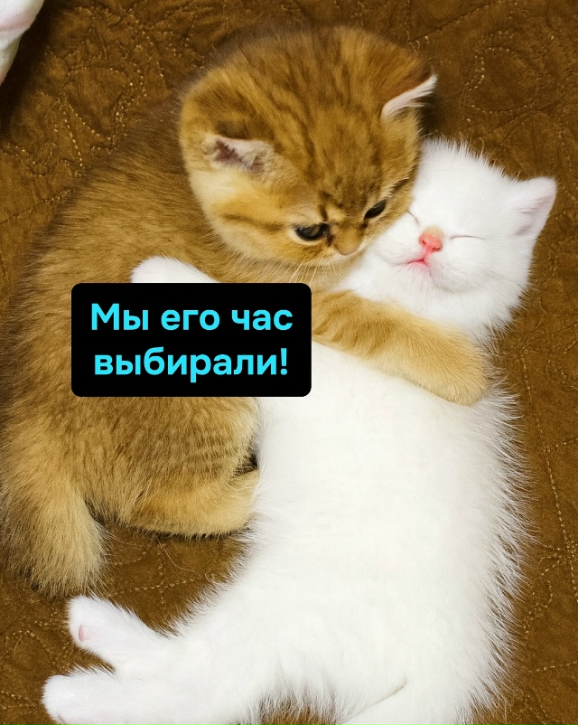 Выбор фильма — испытание, финал всегда один: обнимашки...