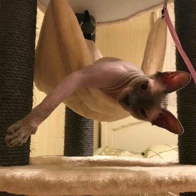 Бесик 🥰😸🥰