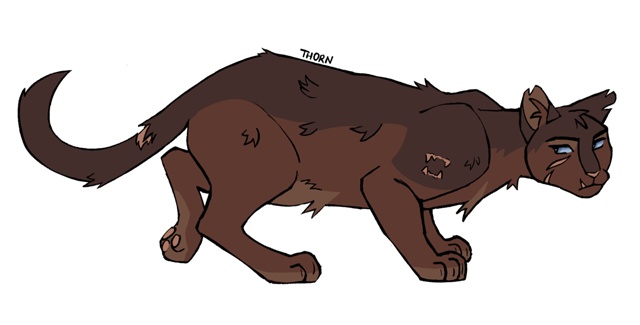 Заноза
© bowiestarzzz
#KV_ZZ_ART