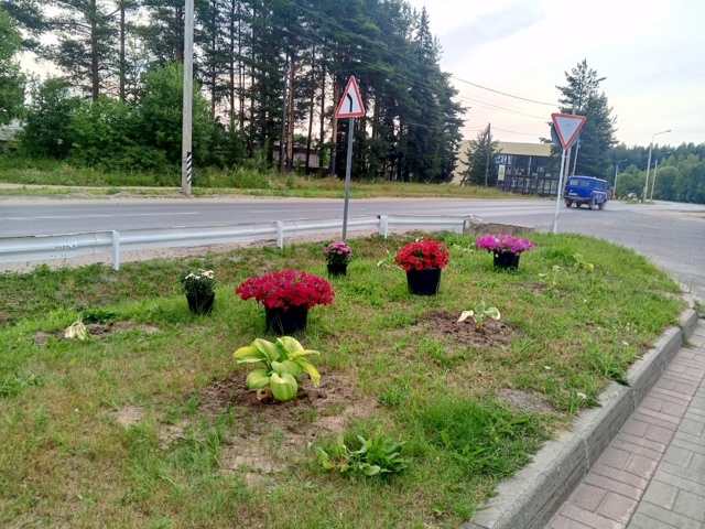 На заправке улицы Кирова. Спасибо за красоту! 🌸🌼🌺
А ?...