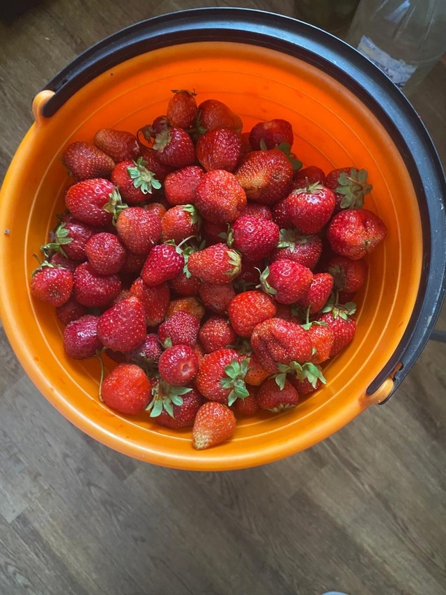 Продам клубнику, два килограмма за 1000 рублей. Самовыво?...