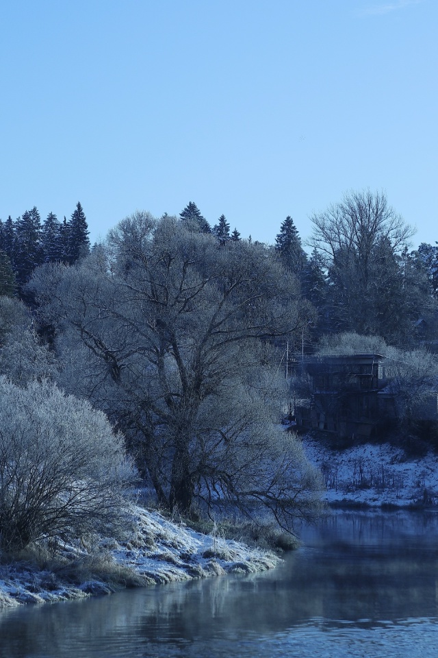 Мороз и солнце на реке Руза ❄️☀️