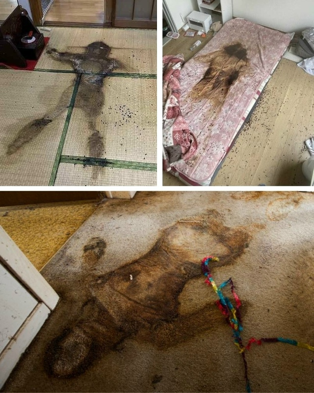 Kodokushi — это явление одинокой смерти в Японии, когда мил...